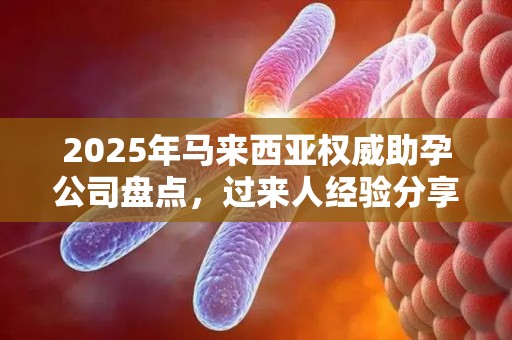2025年马来西亚权威助孕公司盘点，过来人经验分享