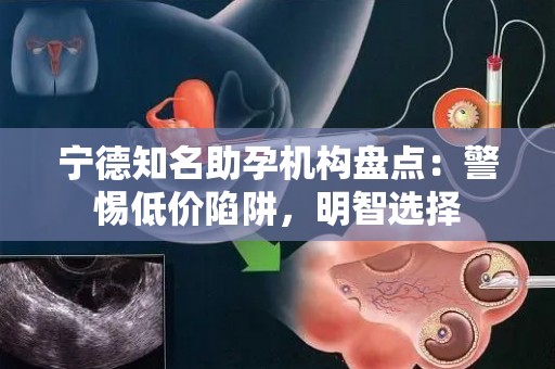 宁德知名助孕机构盘点：警惕低价陷阱，明智选择