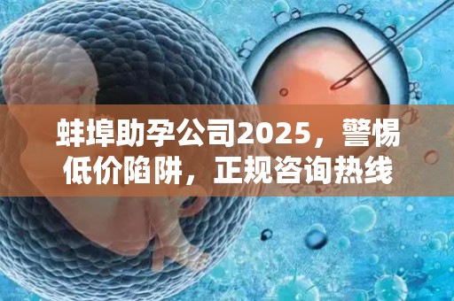 蚌埠助孕公司2025，警惕低价陷阱，正规咨询热线