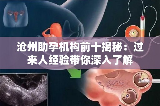 沧州助孕机构前十揭秘：过来人经验带你深入了解