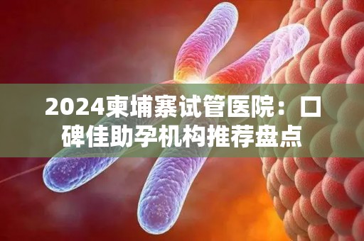 2024柬埔寨试管医院：口碑佳助孕机构推荐盘点