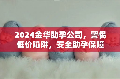 2024金华助孕公司，警惕低价陷阱，安全助孕保障
