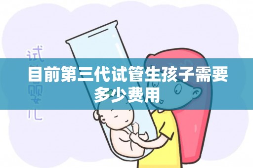 目前第三代试管生孩子需要多少费用