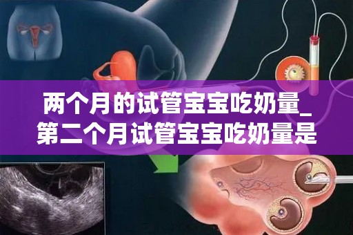 两个月的试管宝宝吃奶量_第二个月试管宝宝吃奶量是多少_试管文章