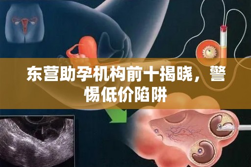 东营助孕机构前十揭晓，警惕低价陷阱
