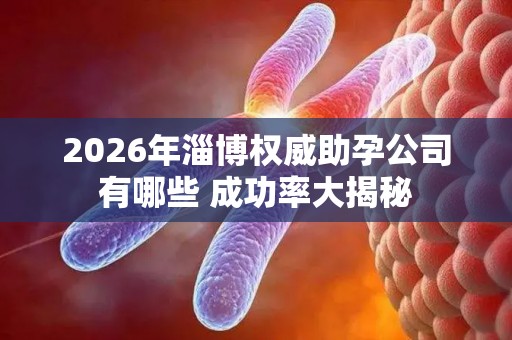2026年淄博权威助孕公司有哪些 成功率大揭秘