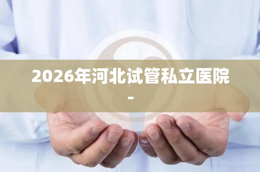 2026年河北试管私立医院-