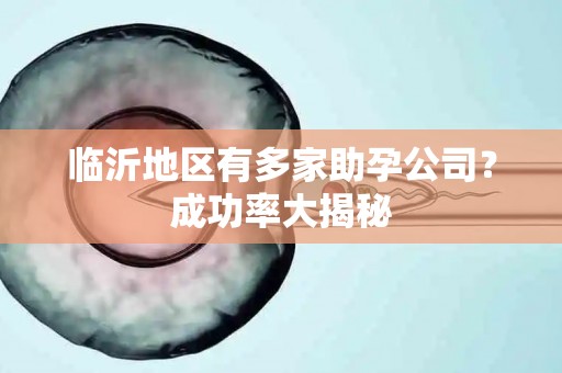 临沂地区有多家助孕公司？成功率大揭秘