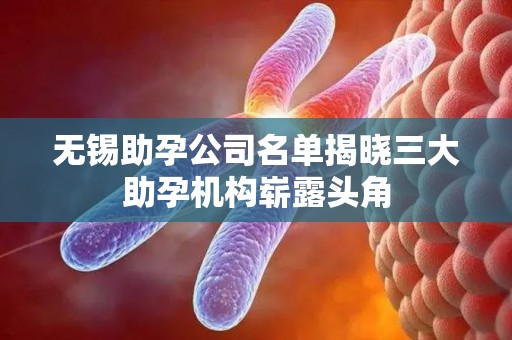 无锡助孕公司名单揭晓三大助孕机构崭露头角