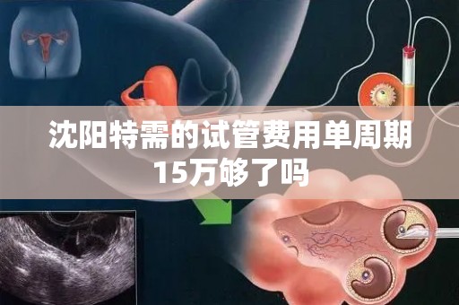 沈阳特需的试管费用单周期15万够了吗
