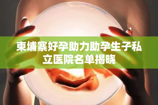 柬埔寨好孕助力助孕生子私立医院名单揭晓