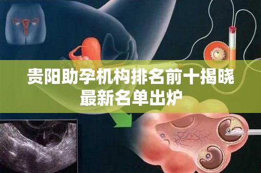 贵阳助孕机构排名前十揭晓最新名单出炉