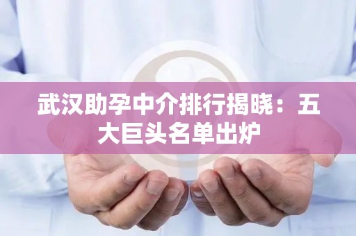 武汉助孕中介排行揭晓：五大巨头名单出炉