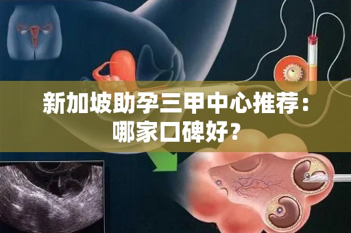 新加坡助孕三甲中心推荐：哪家口碑好？