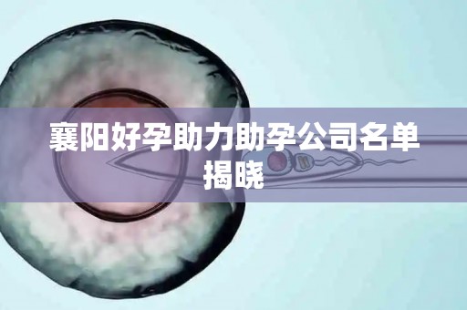 襄阳好孕助力助孕公司名单揭晓