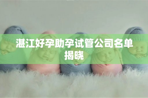 湛江好孕助孕试管公司名单揭晓