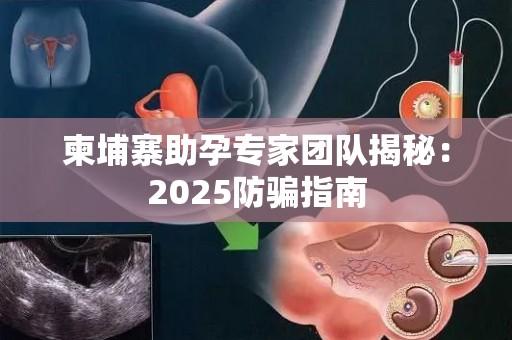 柬埔寨助孕专家团队揭秘：2025防骗指南