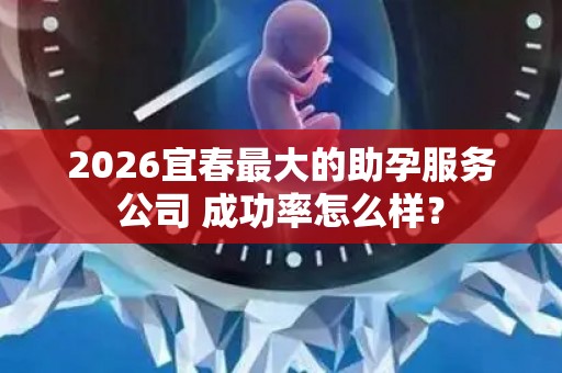 2026宜春最大的助孕服务公司 成功率怎么样？