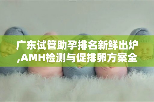 广东试管助孕排名新鲜出炉,AMH检测与促排卵方案全攻略!