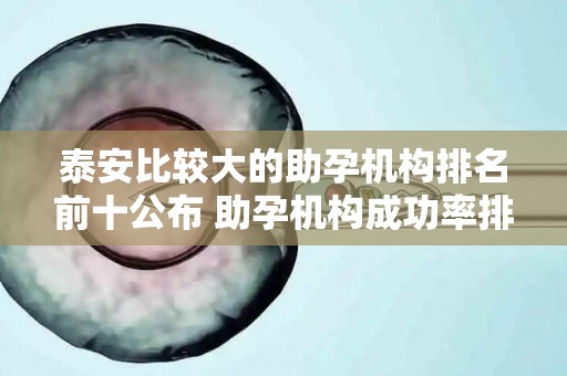 泰安比较大的助孕机构排名前十公布 助孕机构成功率排名分享