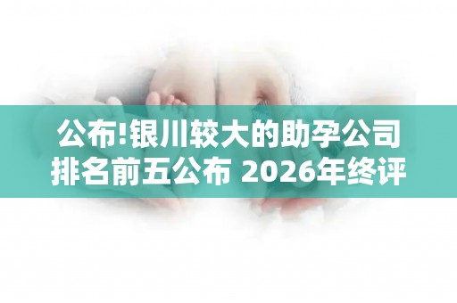 公布!银川较大的助孕公司排名前五公布 2026年终评比结果