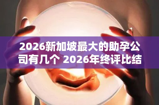 2026新加坡最大的助孕公司有几个 2026年终评比结果