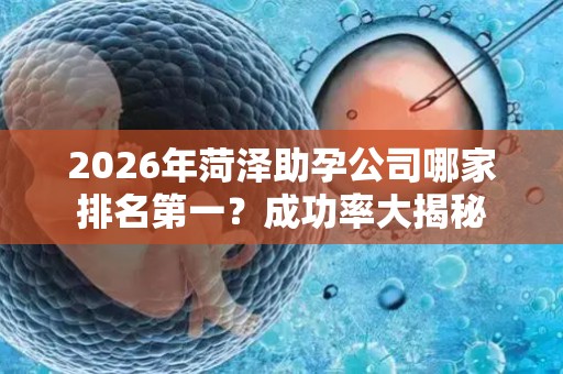 2026年菏泽助孕公司哪家排名第一？成功率大揭秘