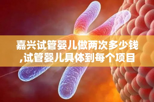 嘉兴试管婴儿做两次多少钱,试管婴儿具体到每个项目