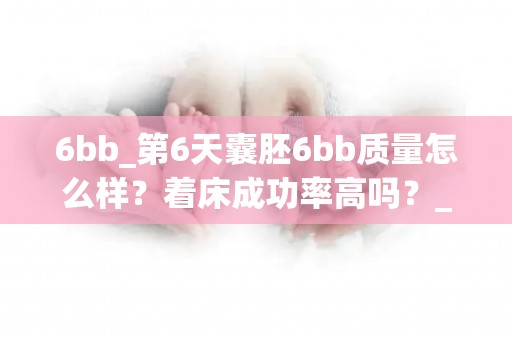 6bb_第6天囊胚6bb质量怎么样？着床成功率高吗？_试管动态