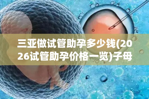 三亚做试管助孕多少钱(2026试管助孕价格一览)子母