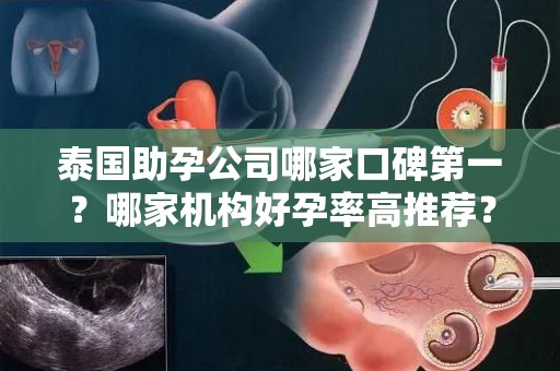 泰国助孕公司哪家口碑第一？哪家机构好孕率高推荐？