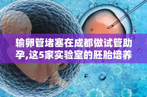 输卵管堵塞在成都做试管助孕,这5家实验室的胚胎培养技术最可靠!