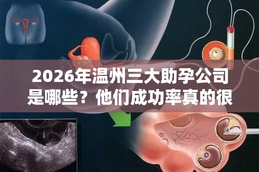 2026年温州三大助孕公司是哪些？他们成功率真的很高吗？