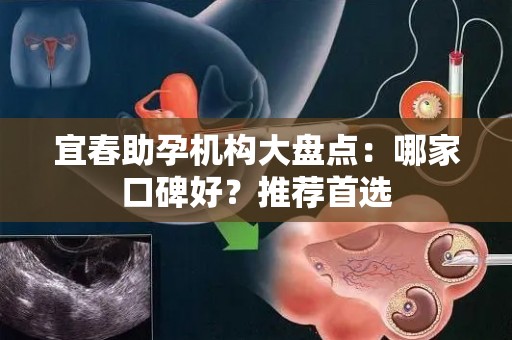 宜春助孕机构大盘点：哪家口碑好？推荐首选