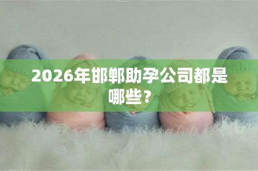 2026年邯郸助孕公司都是哪些？