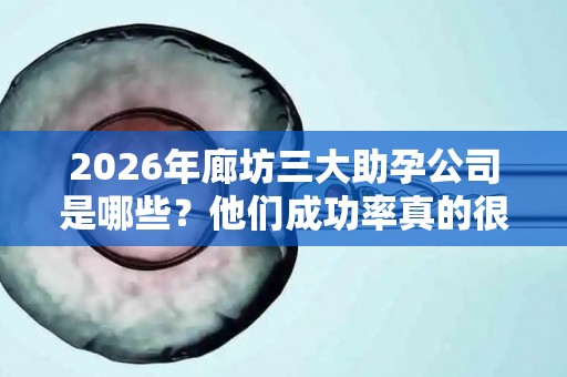 2026年廊坊三大助孕公司是哪些？他们成功率真的很高吗？