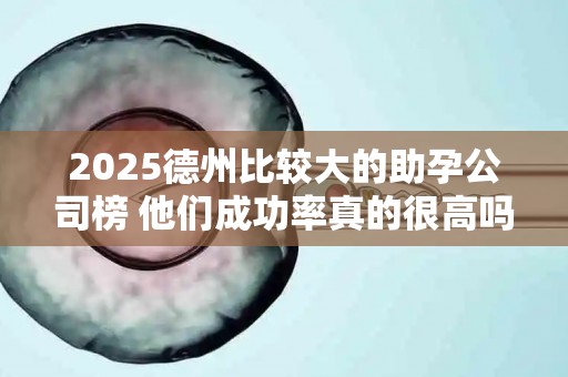 2025德州比较大的助孕公司榜 他们成功率真的很高吗？