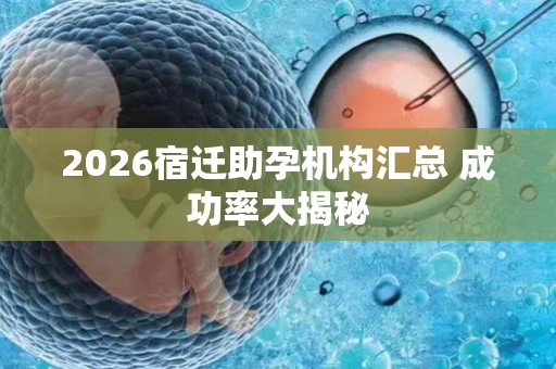 2026宿迁助孕机构汇总 成功率大揭秘