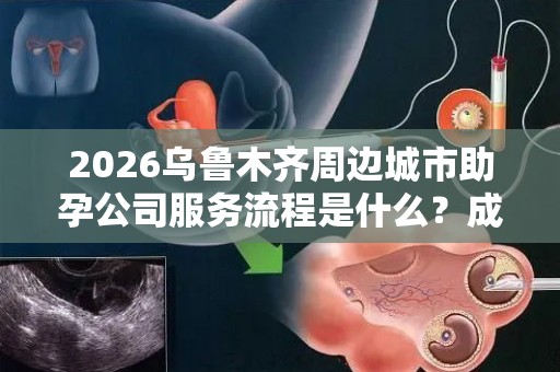 2026乌鲁木齐周边城市助孕公司服务流程是什么？成功率怎么样？