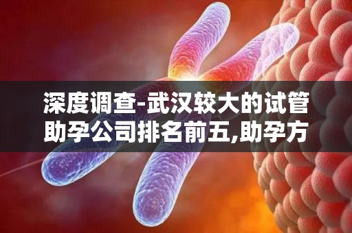 深度调查-武汉较大的试管助孕公司排名前五,助孕方案选择指南