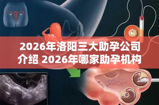 2026年洛阳三大助孕公司介绍 2026年哪家助孕机构口碑好值得考虑？
