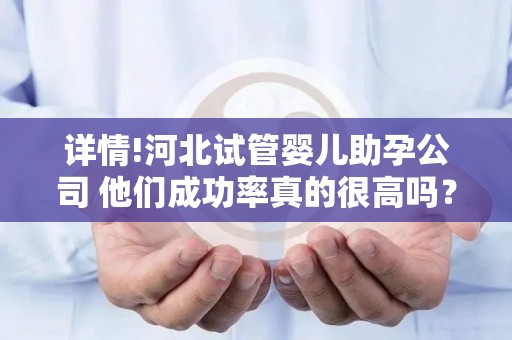 详情!河北试管婴儿助孕公司 他们成功率真的很高吗？