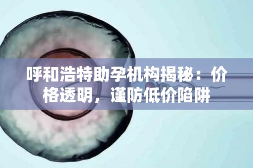 呼和浩特助孕机构揭秘：价格透明，谨防低价陷阱