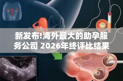 新发布!海外最大的助孕服务公司 2026年终评比结果