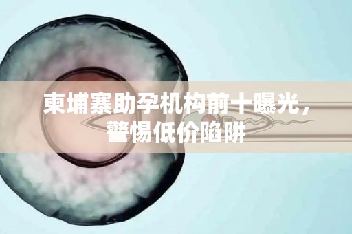 柬埔寨助孕机构前十曝光，警惕低价陷阱
