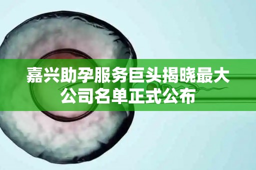 嘉兴助孕服务巨头揭晓最大公司名单正式公布