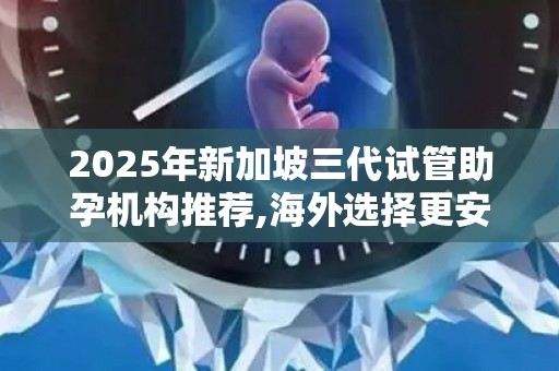 2025年新加坡三代试管助孕机构推荐,海外选择更安心!