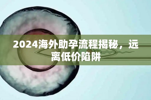 2024海外助孕流程揭秘，远离低价陷阱