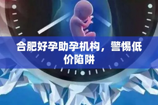 合肥好孕助孕机构，警惕低价陷阱