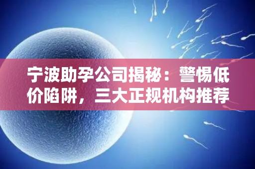 宁波助孕公司揭秘：警惕低价陷阱，三大正规机构推荐